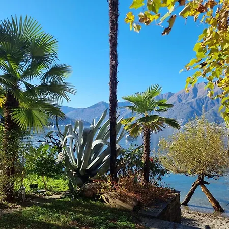 Appartement Casa Andrea By Fewotessin