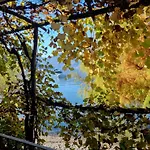 Appartement Casa Andrea By Fewotessin Gerra (Locarno)