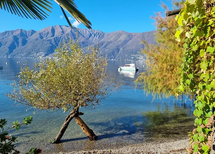 Lägenhet Casa Andrea By Fewotessin